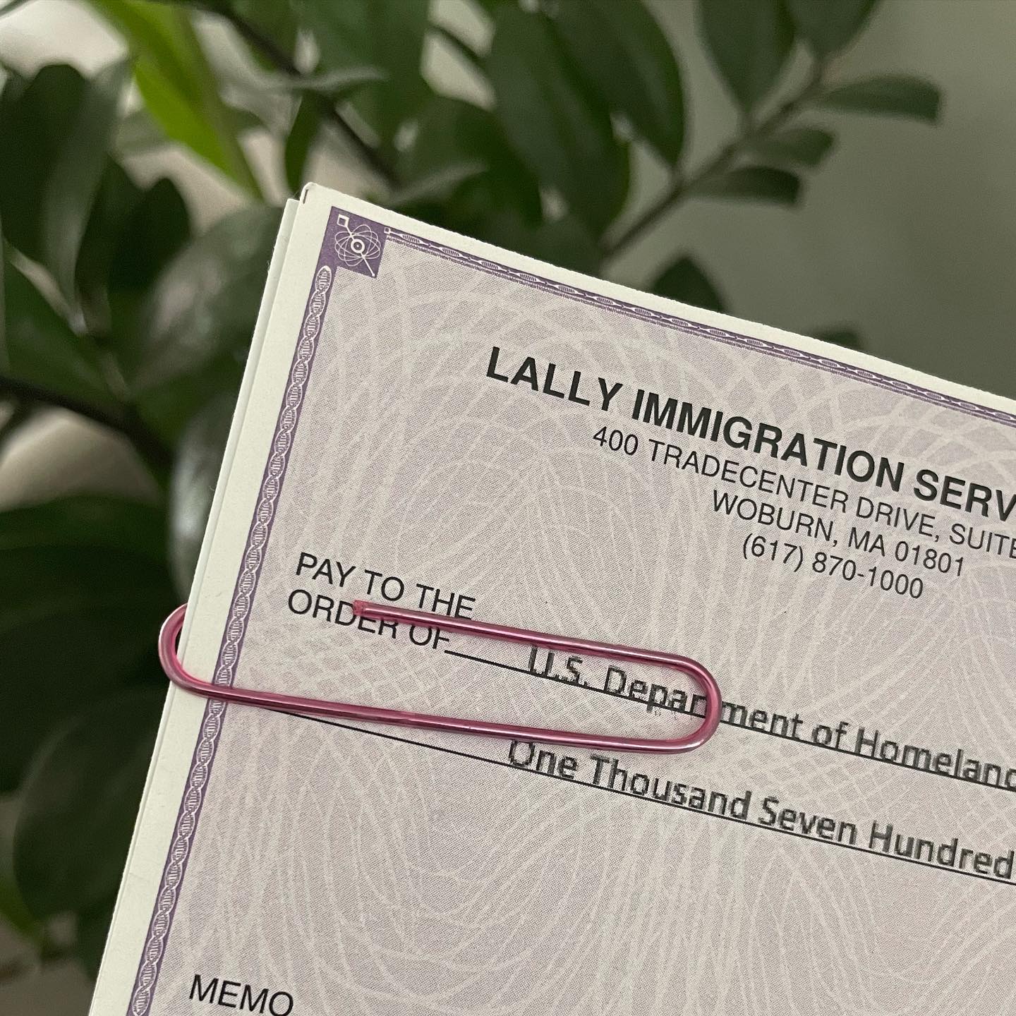 Immigration Lawyer | Lally Immigration Services