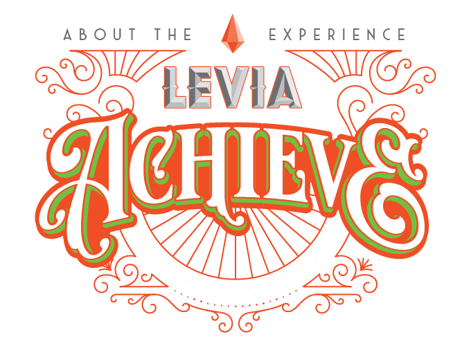 about the experience LEVIA Achieve Get Stuff Done Work or Play