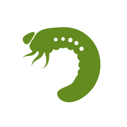 grubcontrolserviceicon | Turf Pro Inc grub control service icon lawn care