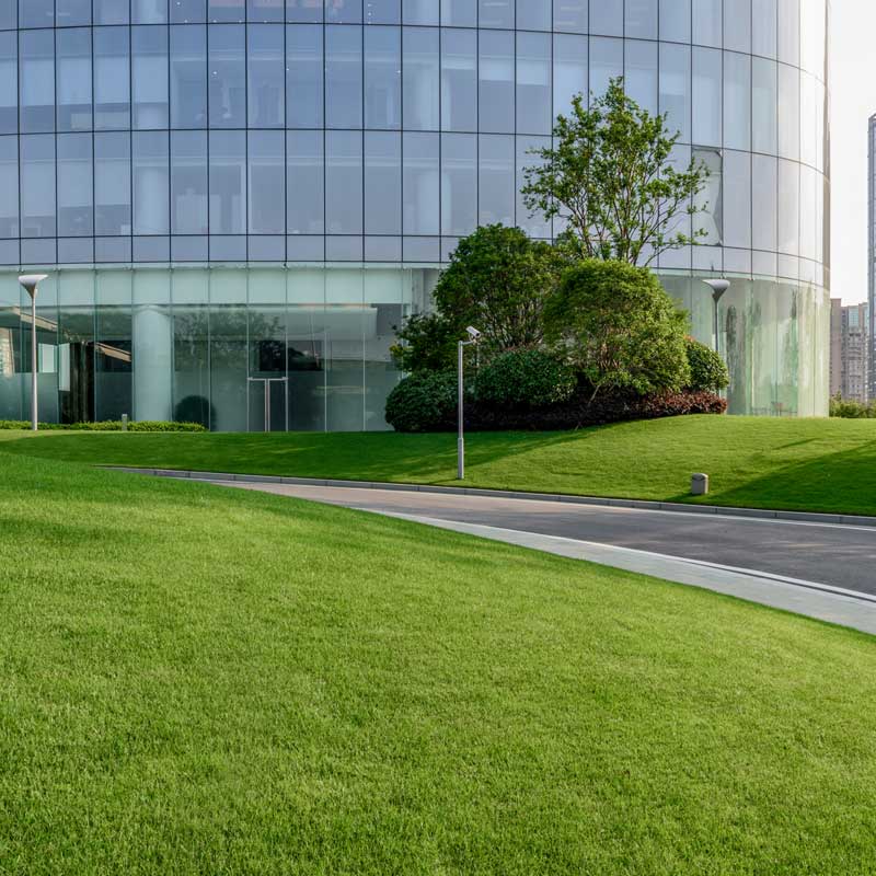 commercial lawn fertilizer service commercial lawn maintenance company beautiful office park lawn lawn care